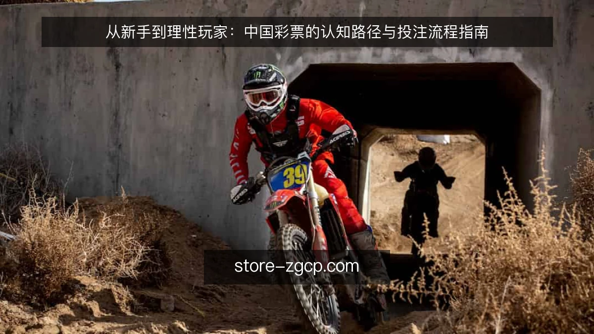 从新手到理性玩家:中国彩票的认知路径与投注流程指南