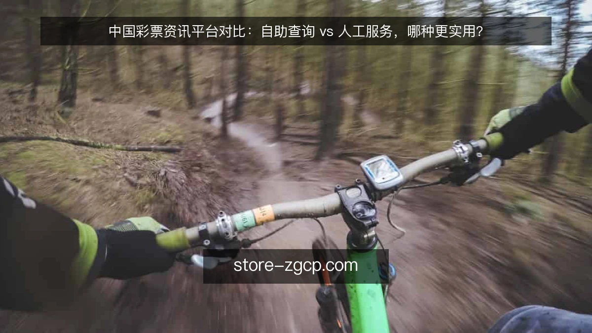 中国彩票资讯平台对比：自助查询 vs 人工服务，哪种更实用？