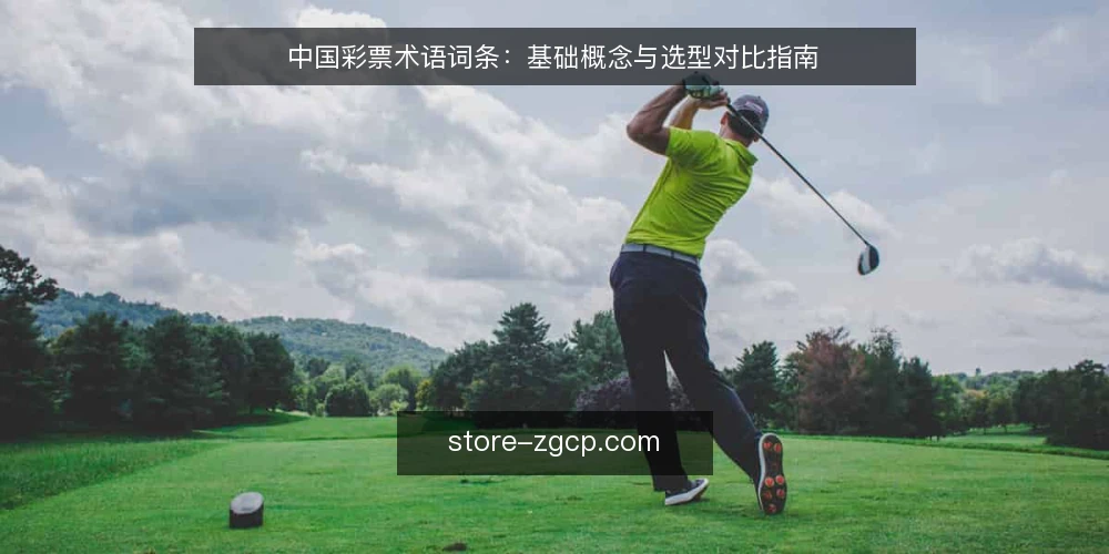 中国彩票术语词条:基础概念与选型对比指南 — 决策标准:明确购彩目标与约束 配图