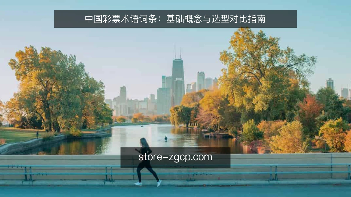 中国彩票术语词条:基础概念与选型对比指南