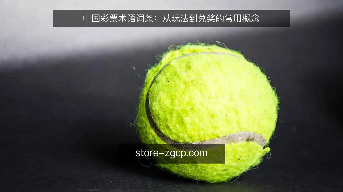 中国彩票术语词条：从玩法到兑奖的常用概念