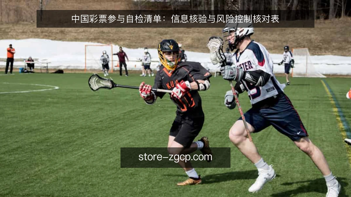 中国彩票参与自检清单:信息核验与风险控制核对表
