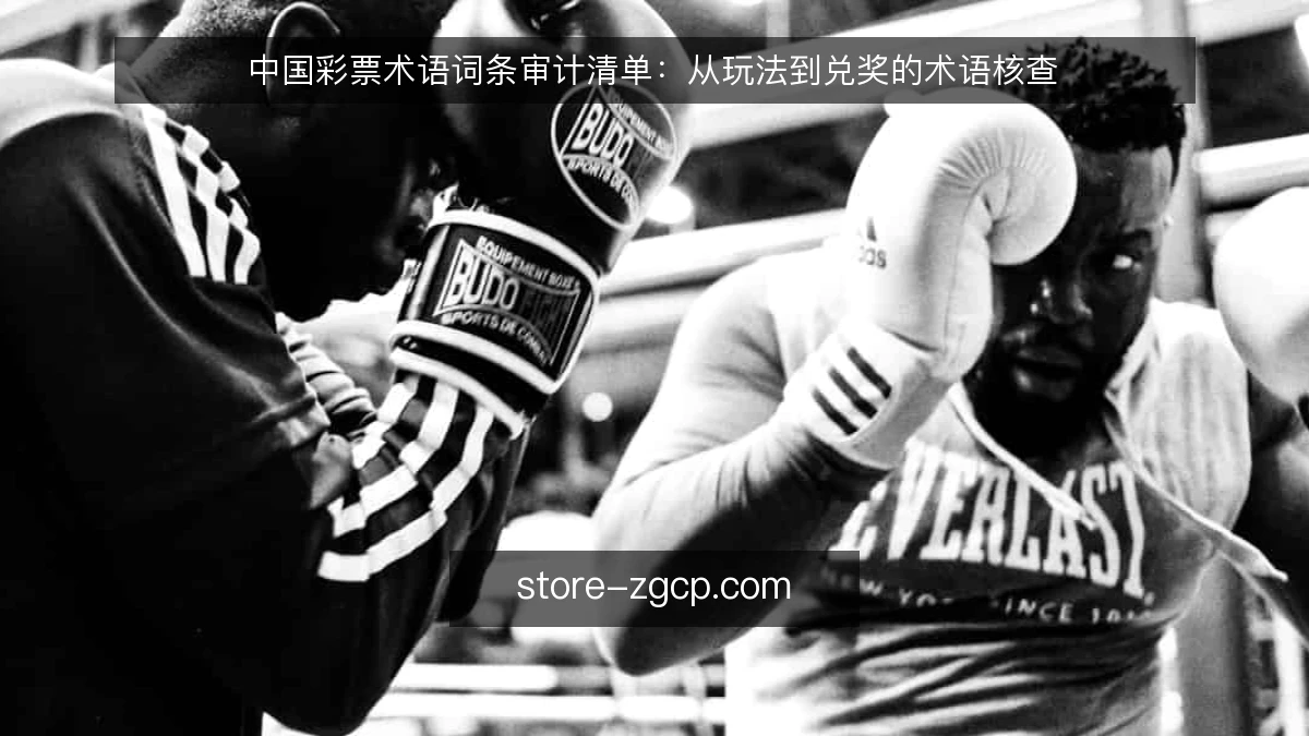 中国彩票术语词条审计清单：从玩法到兑奖的术语核查