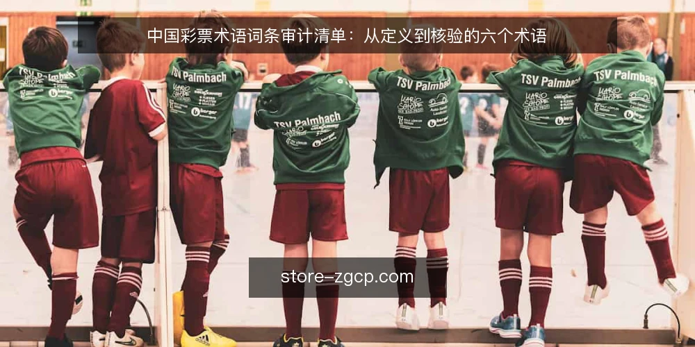 中国彩票术语词条审计清单:从定义到核验的六个术语 — 为什么现在需要术语审计 配图